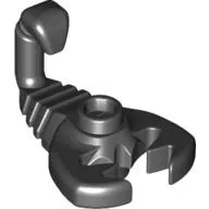 Animal, Scorpion