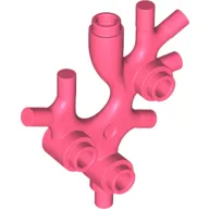 Animal / Plant, Coral / Sea Weed