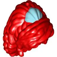 Hair, Floating with Metal Blue Shell print