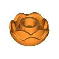 Plant, Flower, Peony Rose with 2 Layers