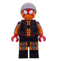 Charlotte Webber / Sun-Spider