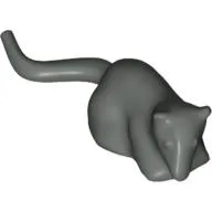 Animal, Rodent, Rat / Mouse [Plain]