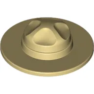 Hat, Campaign