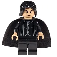 Professor Severus Snape, Black Vest, Cape