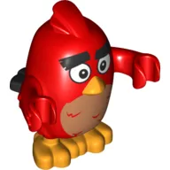 Animal, Bird, Red, Worried