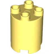 Duplo Brick Round 2 x 2 x 2
