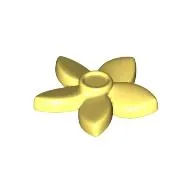 Plant, Flower with 5 Pointed Petals and Pin