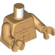 Torso, Nougat Muscles print, Warm Tan Arms and Hands