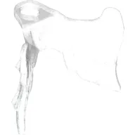 Minifig Neckwear Wings, Angel