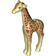 Animal, Giraffe