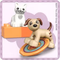 Find a Pair Card from Set 40267-1