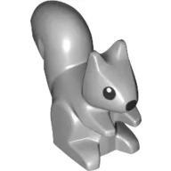 Animal, Squirrel, Standing, Black Eyes and Nose Print