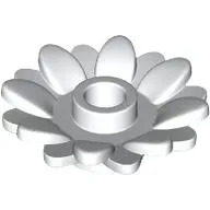 Plant, Sunflower 2 x 2 with 16 Petals