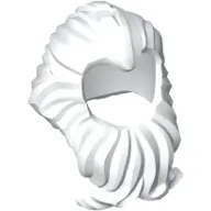 Hair Swept Back with Long Beard