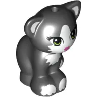 Animal, Cat, Sitting with Light Green Eyes, Dark Pink Nose and White Markings Print