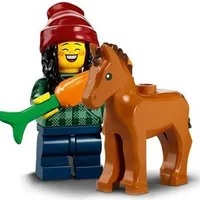 Horse and Groom