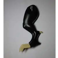 Animal Body Part, Dinosaur, Tyrannosaurus Rex Leg, Right with Tan Claws Pattern