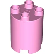 Duplo Brick Round 2 x 2 x 2