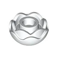 Plant, Flower, Peony Rose with 2 Layers