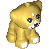 Animal, Dog Pup with White Face, Paws, Black Eyes, Nose print