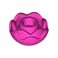 Plant, Flower, Peony Rose with 2 Layers