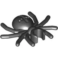 Insect, Spider