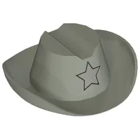 Hat Cowboy with Silver Star Print