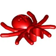 Insect, Spider
