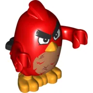 Animal, Bird, Red, Dirty