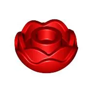 Plant, Flower, Peony Rose with 2 Layers