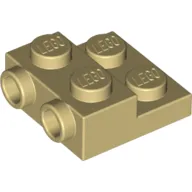 Plate Special 2 x 2 x 2/3 with Two Studs On Side and Two Raised