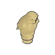 Animal, Bird, Owl Large, Rounded Features