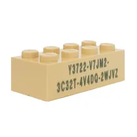 Brick 2 x 4 with Minecraft Code Print