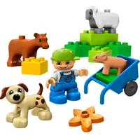 Animals