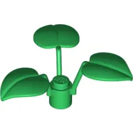 Plant, 1 x 1 x 2/3 - 3 Large Leaves