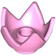 Crown / Flower / Egg Shell Half