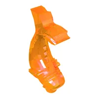 Animal, Fish, Ornamental