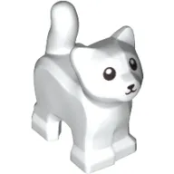 Animal, Cat, Kitten, Short Tail, Black Eyes and Nose Print