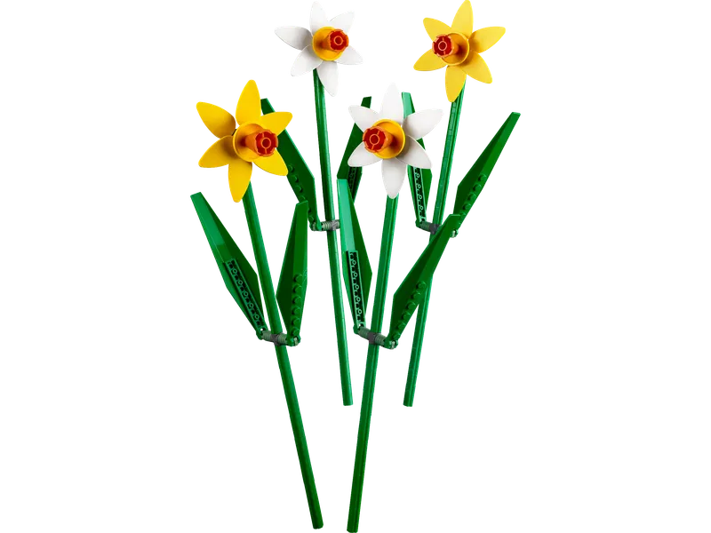 Daffodils
