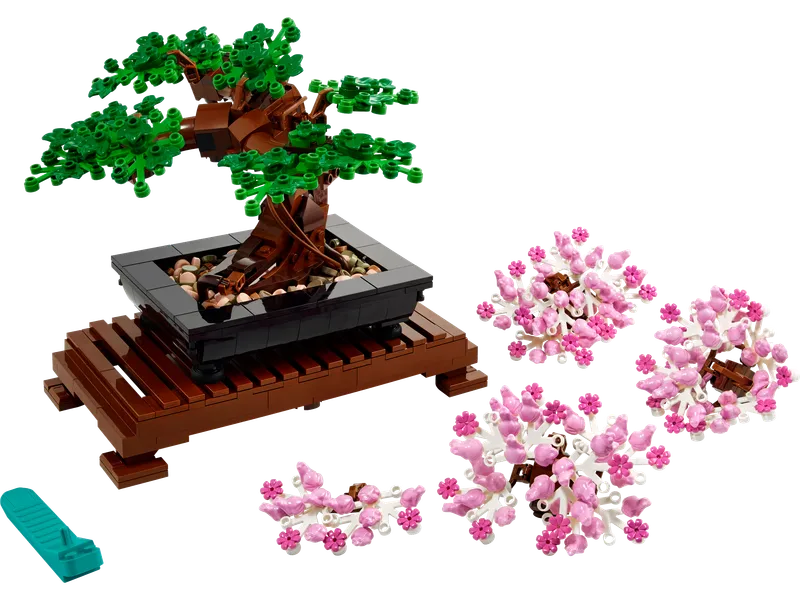 Bonsai Tree